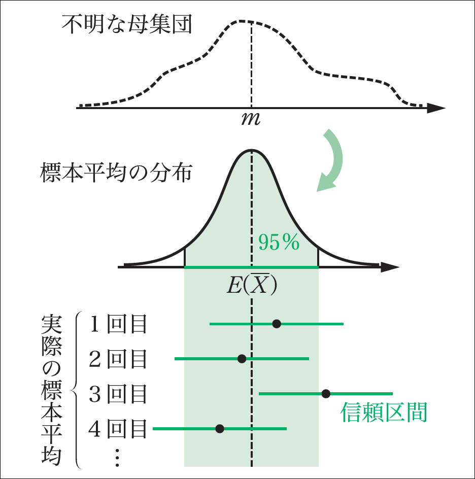 イメージでつかむ「統計的な推測」（後編）02