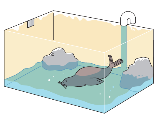 【1年4章】水そうが満水になるまでの時間を知りたい01
