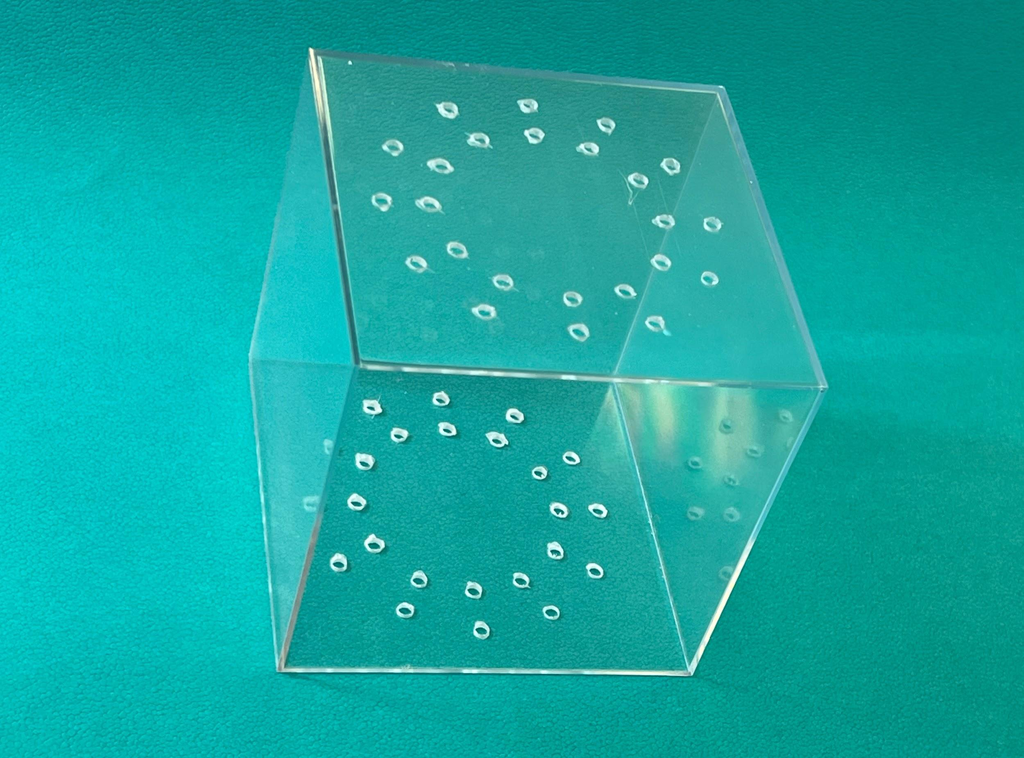 金沢駅でつづみが鳴るよ08