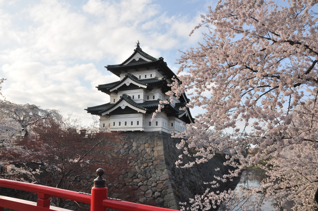 いつ咲く? 弘前の桜02