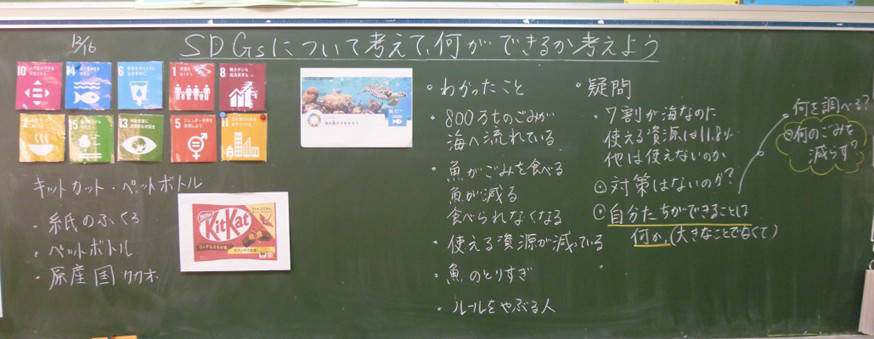 【算数・数学で考えよう！ SDGs】6年生「プラスチックごみについて調べよう」を活用した取り組み03