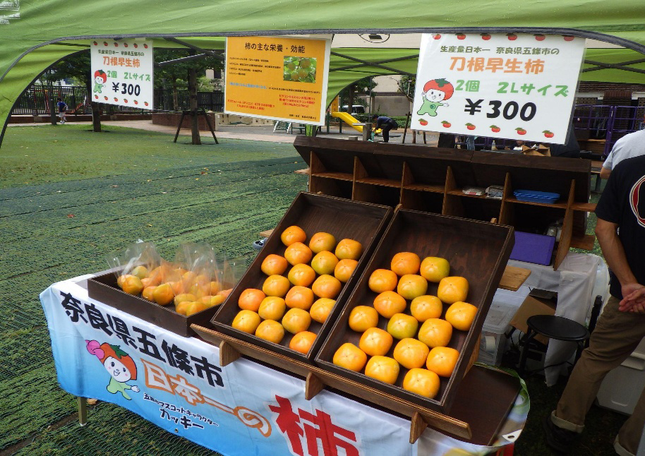 ツヤツヤ!柿の形の博物館02